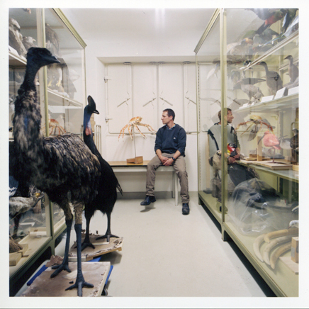 Taxidermist working at the Museum Wiesbaden
